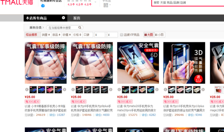 建站网站案例：潮连旅游网